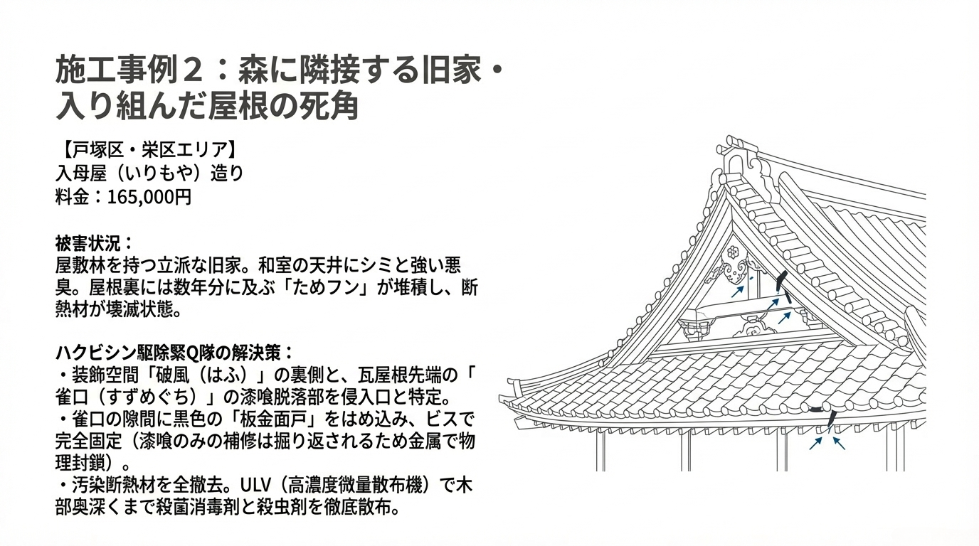 ハクビシン駆除　横浜市