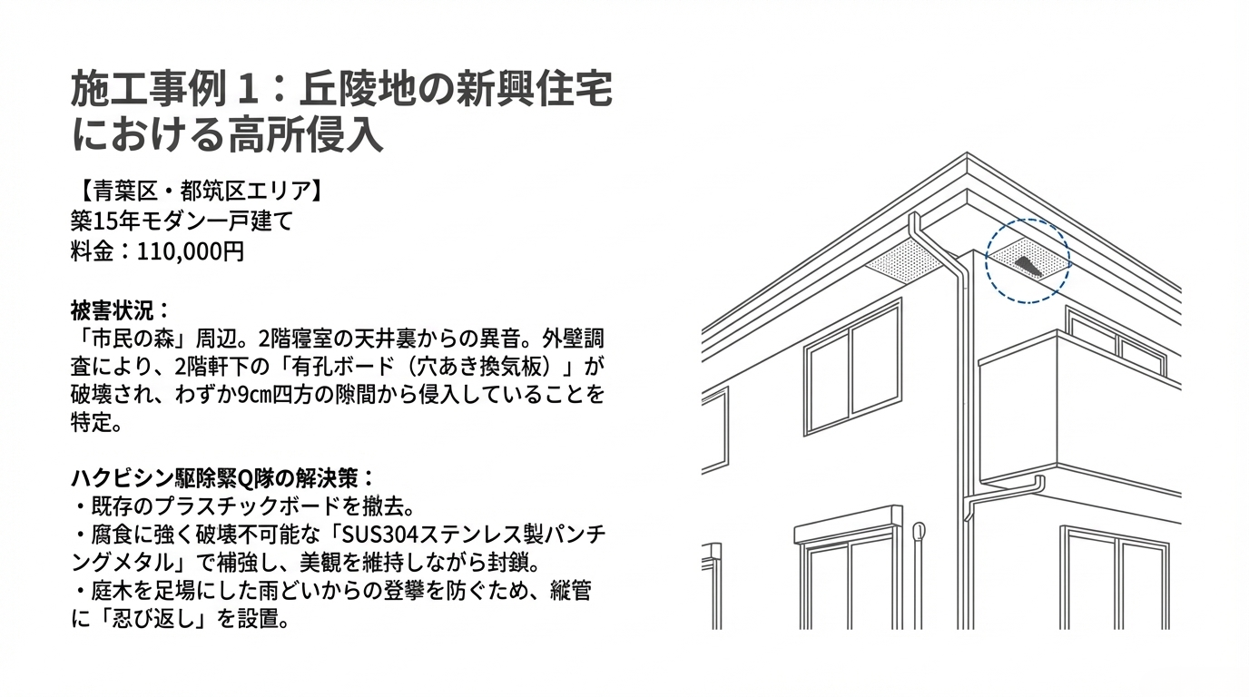 ハクビシン駆除　横浜市