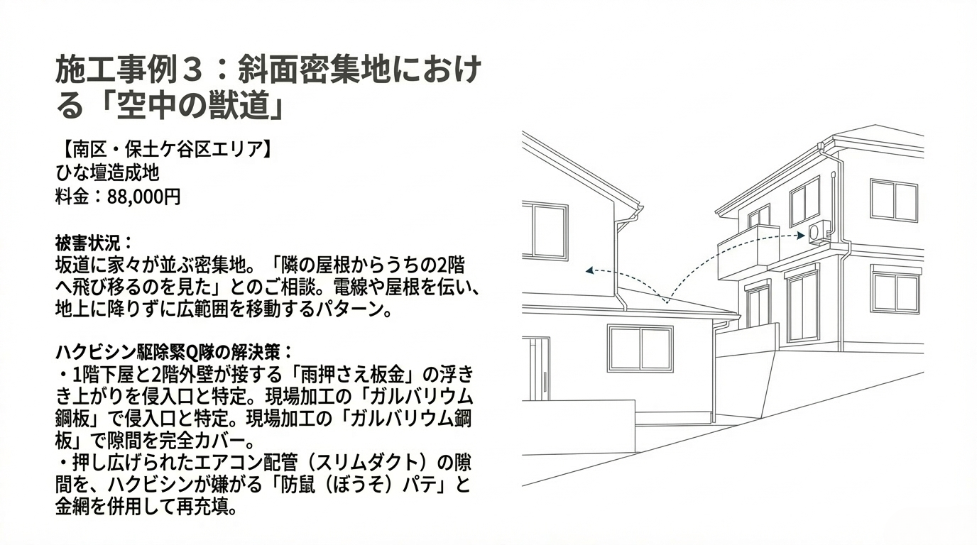ハクビシン駆除　横浜市