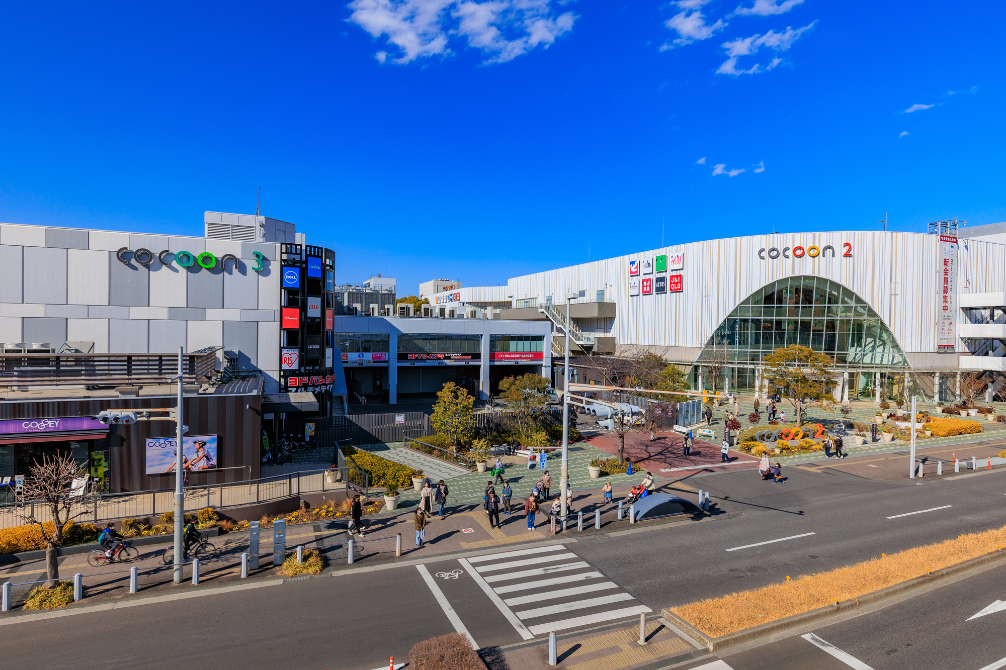 ハクビシン駆除 さいたま市