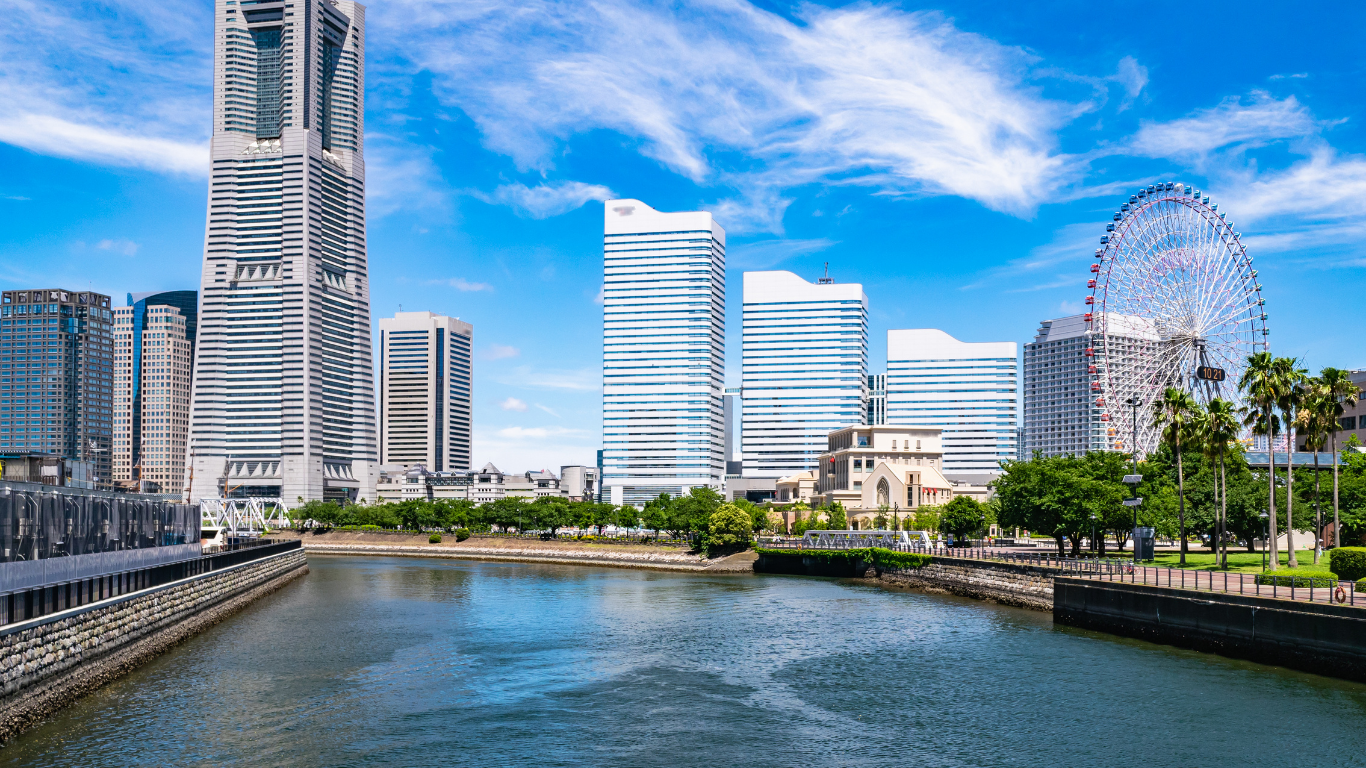 横浜市のハクビシン駆除