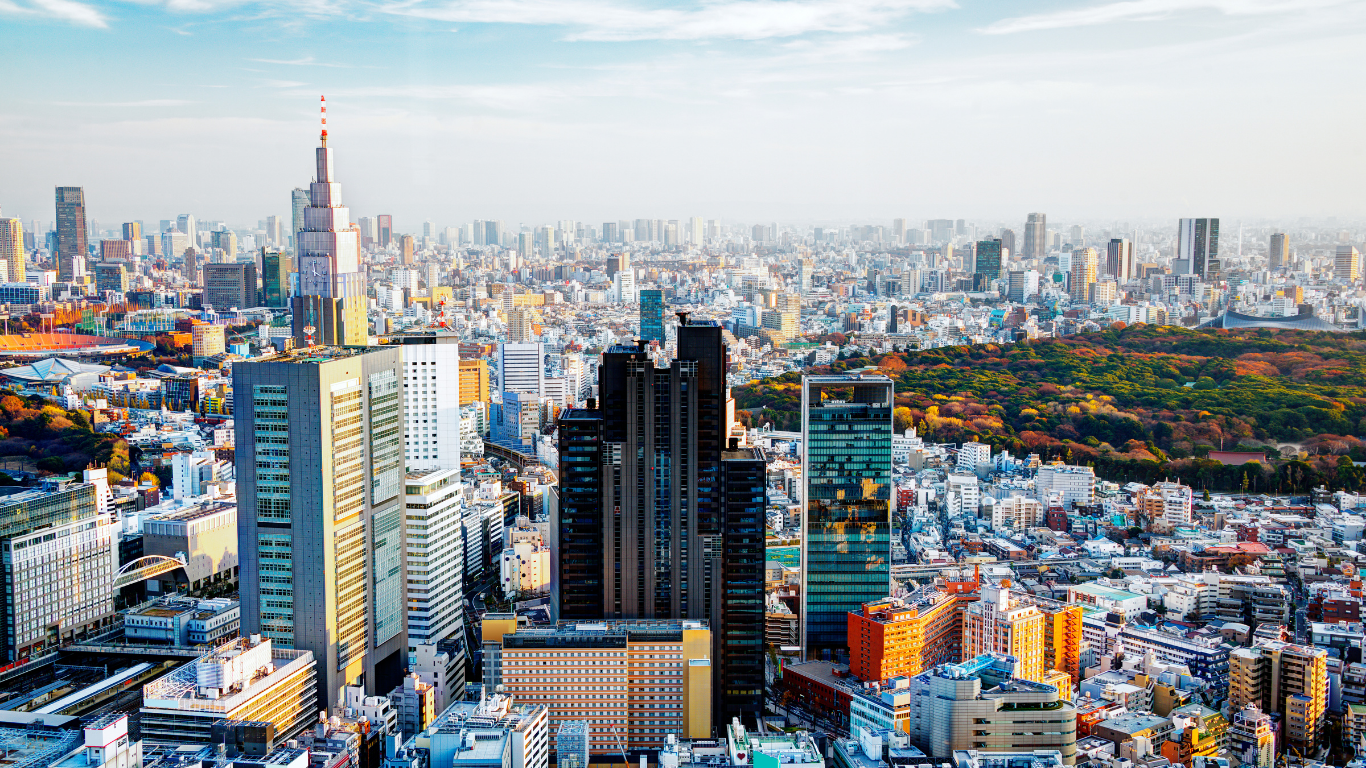 さいたま市のハクビシン駆除