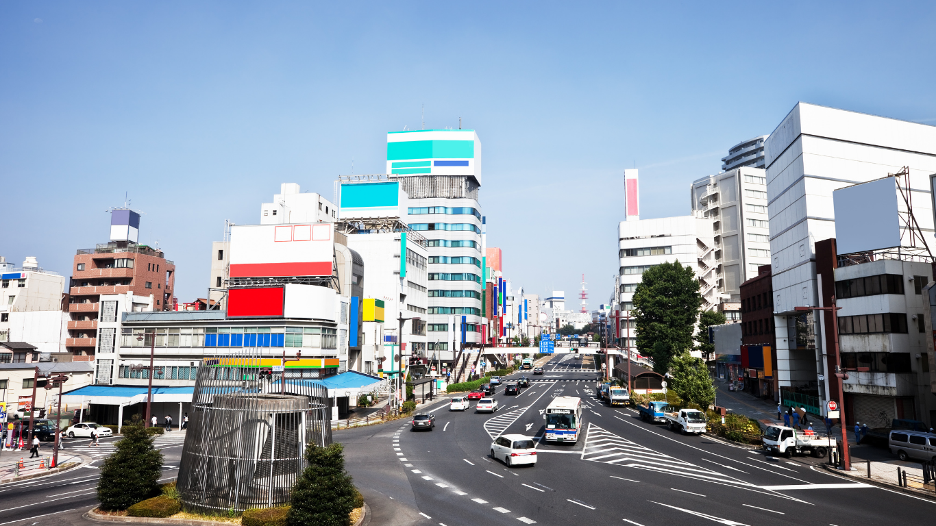 水戸市のハクビシン駆除