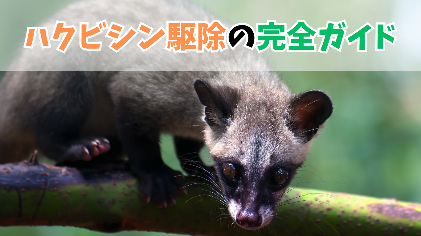 ハクビシン駆除の完全ガイド