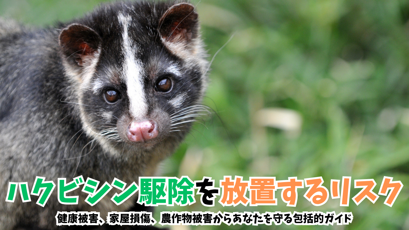 ハクビシン駆除を放置するリスク
健康被害、家屋損傷、農作物被害からあなたを守る包括的ガイド