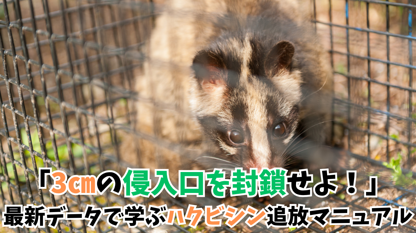 「3㎝の侵入口を封鎖せよ！」
最新データで学ぶハクビシン追放マニュアル