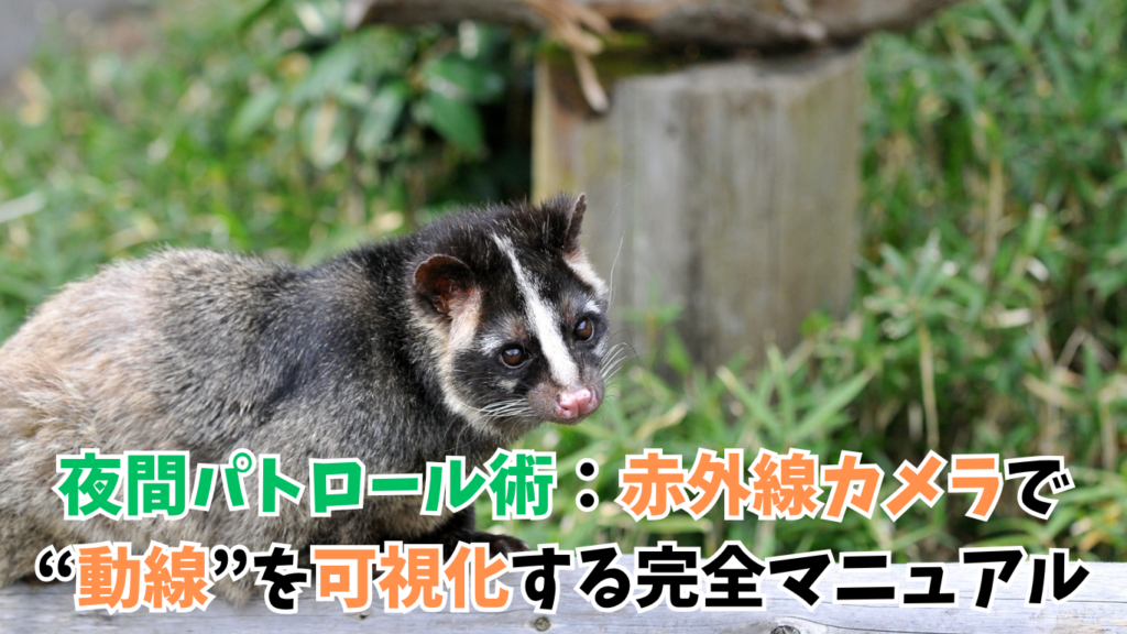 ハクビシン駆除｜夜間パトロール術：赤外線カメラで“動線”を可視化する完全マニュアル