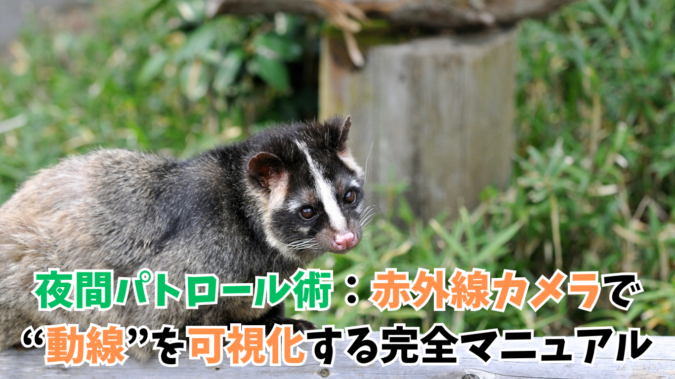 ハクビシン駆除｜夜間パトロール術：赤外線カメラで“動線”を可視化する完全マニュアル