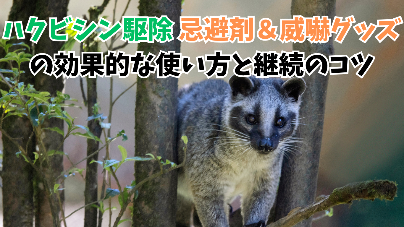 ハクビシン駆除 忌避剤＆威嚇グッズの効果的な使い方と継続のコツ