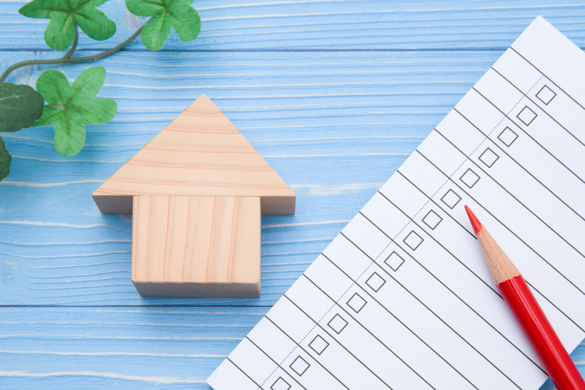 高崎市ハクビシン駆除