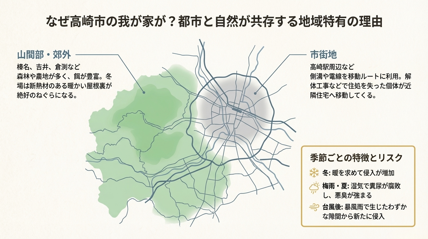 高崎市ハクビシン駆除