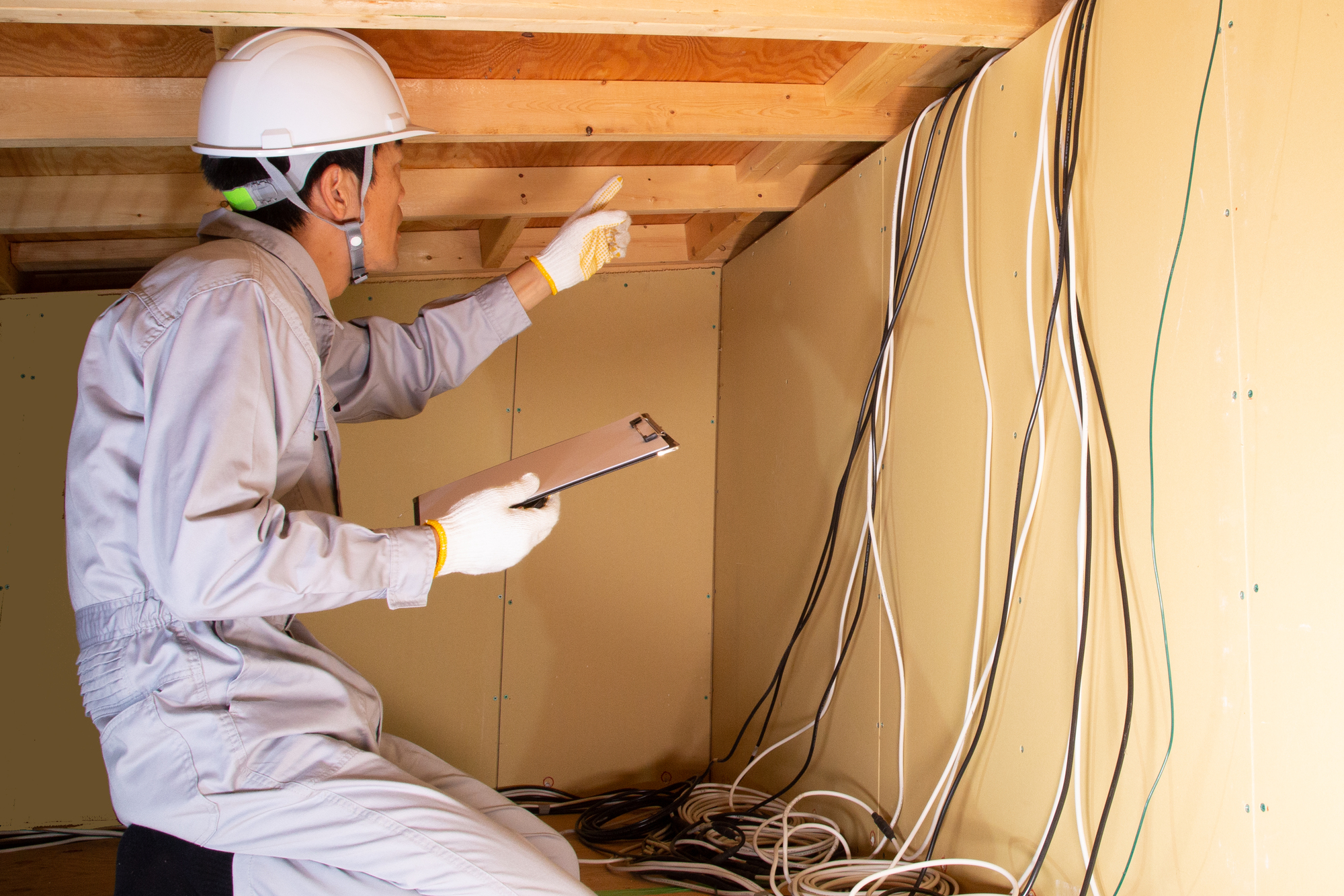 高崎市ハクビシン駆除