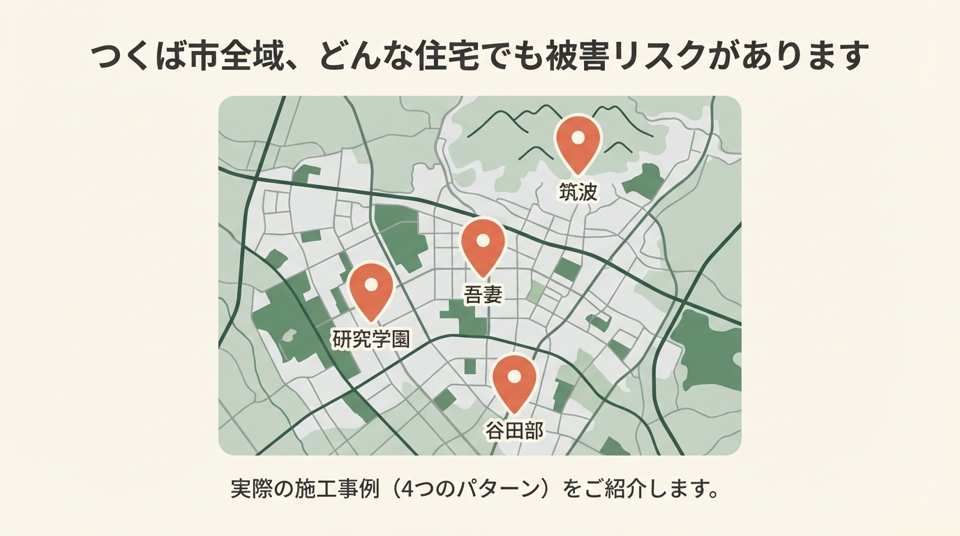 つくば市ハクビシン駆除