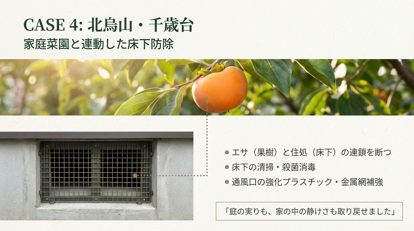 世田谷区ハクビシン駆除