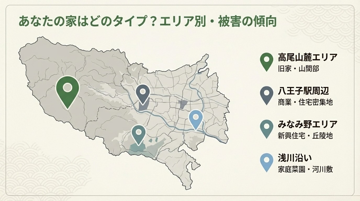 八王子市ハクビシン駆除