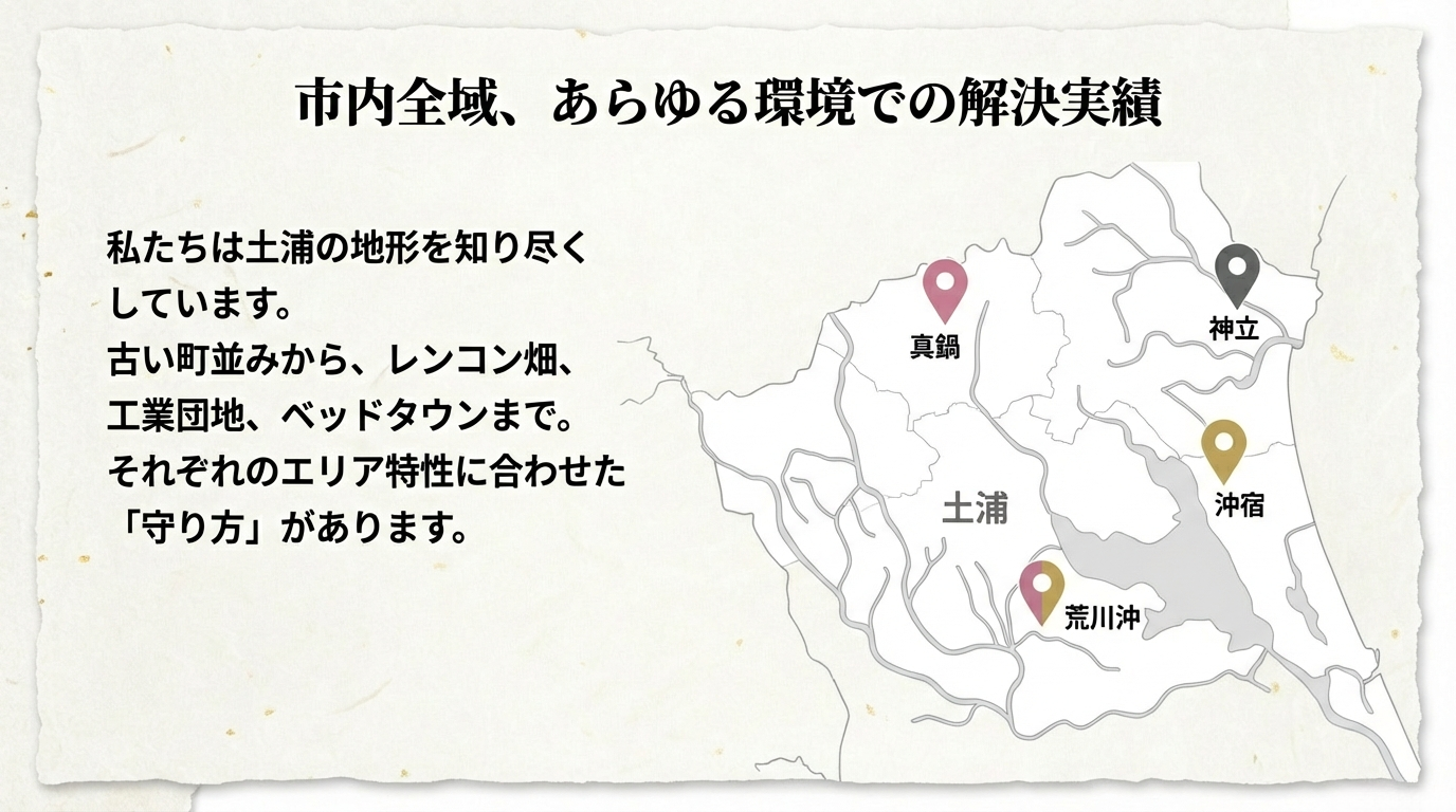 土浦市ハクビシン駆除