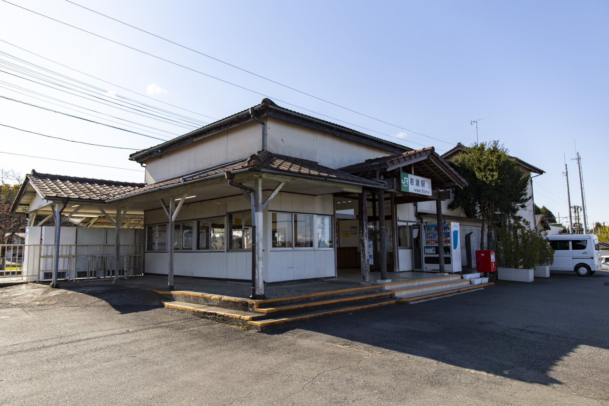 桜川市ハクビシン駆除