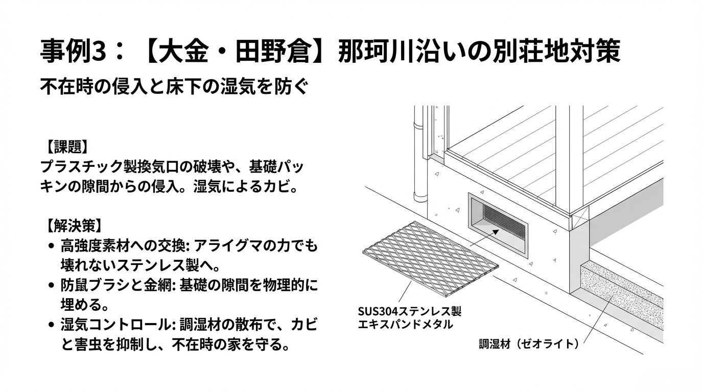 那須烏山市ハクビシン駆除