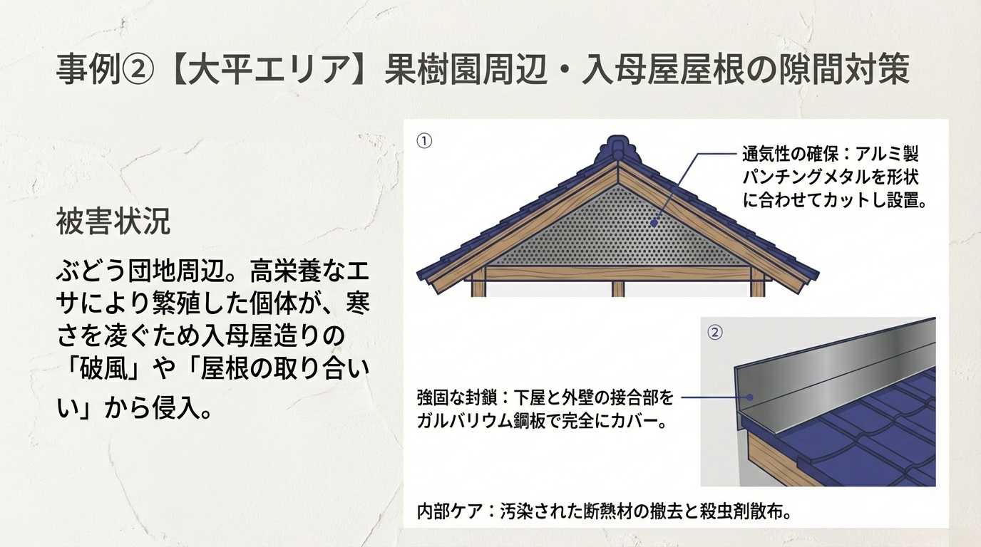 栃木市ハクビシン駆除