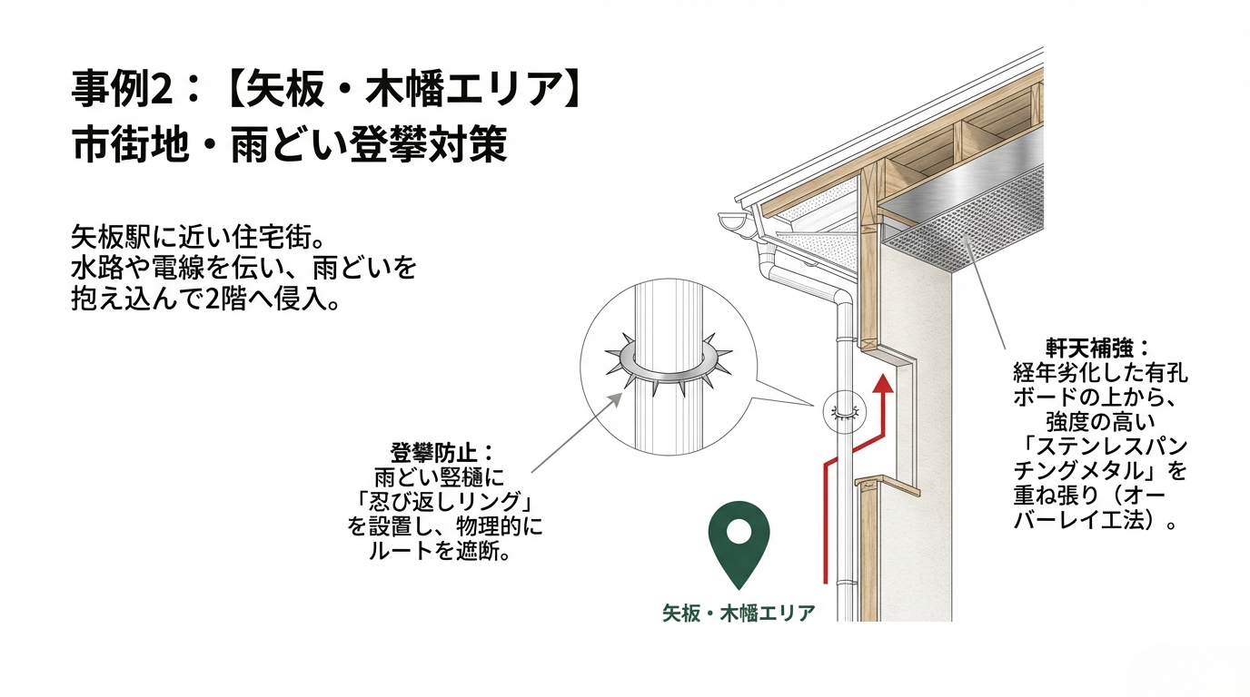 矢板市ハクビシン駆除