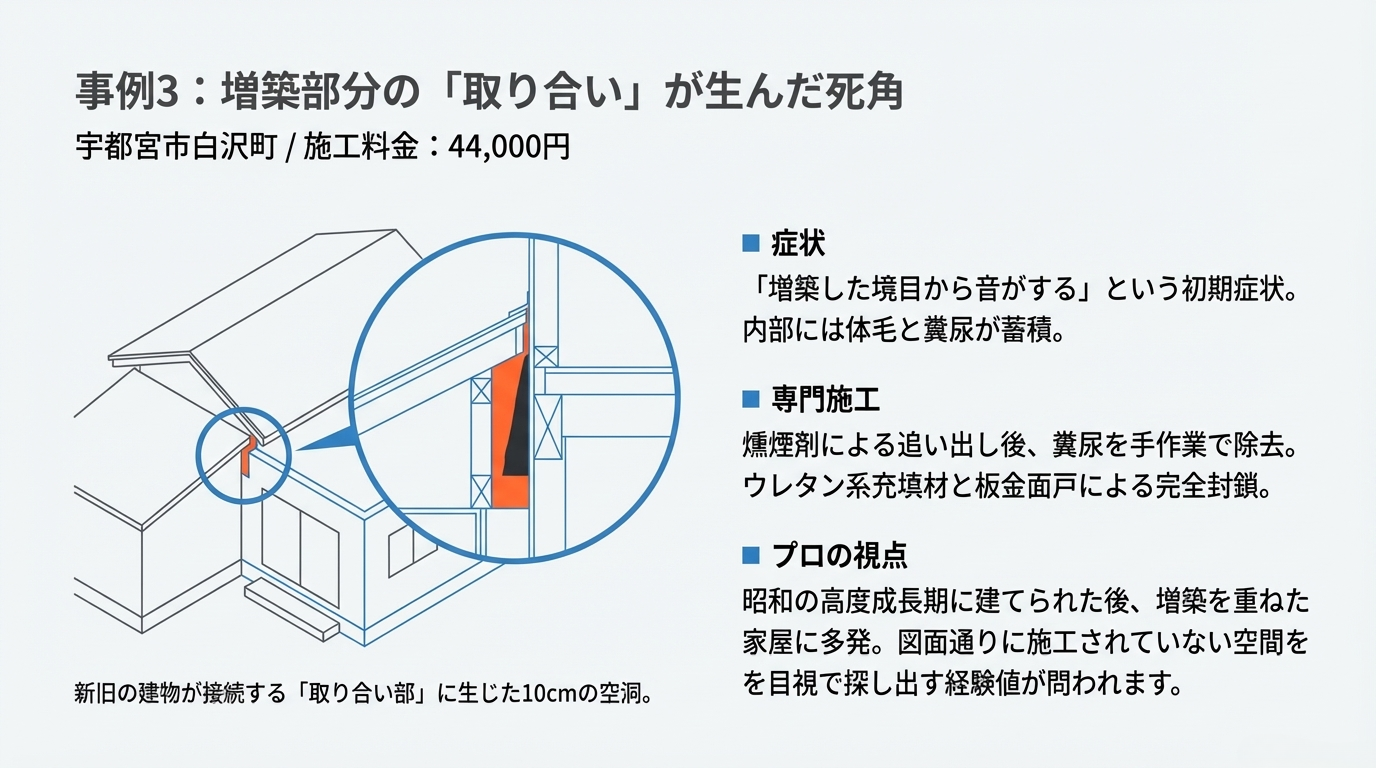 ハクビシン駆除　宇都宮市