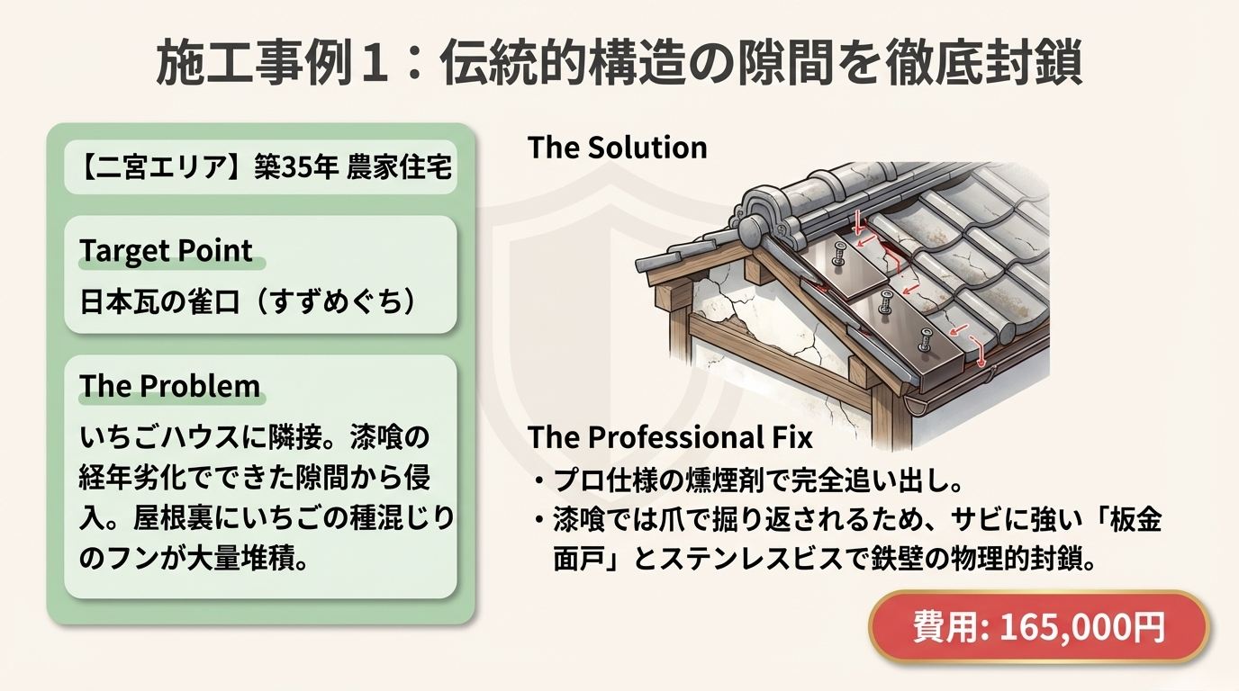 ハクビシン駆除　真岡市