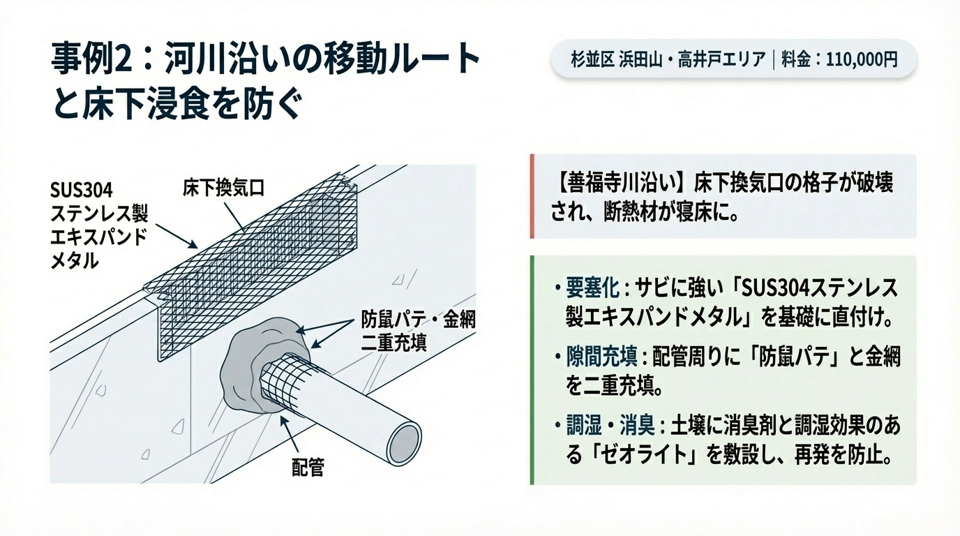 杉並区ハクビシン駆除