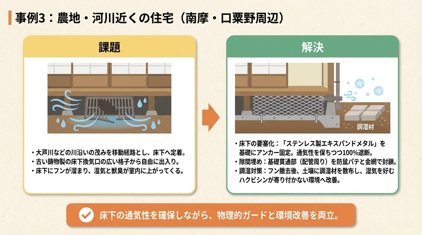 ハクビシン駆除 鹿沼市