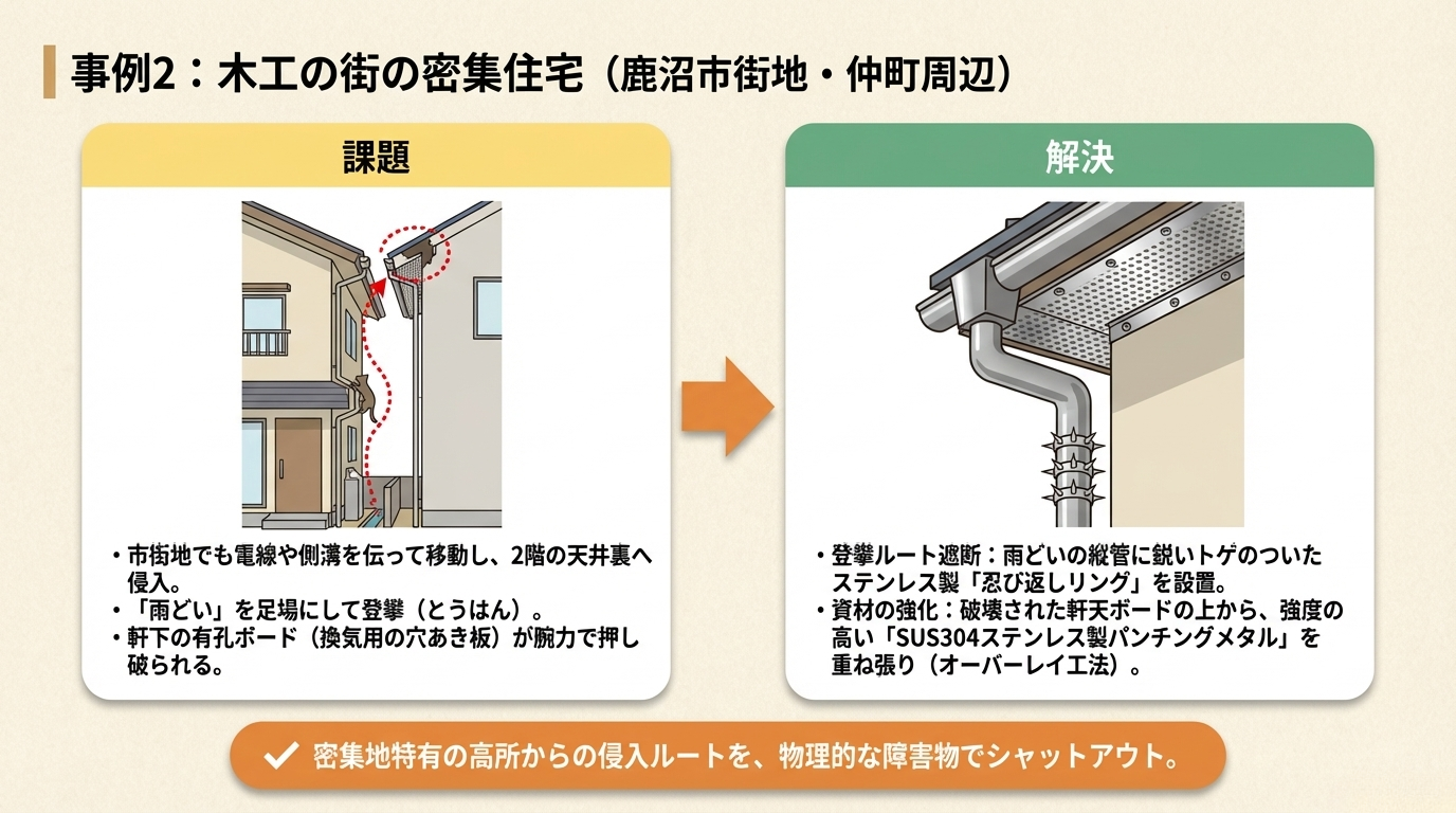 ハクビシン駆除 鹿沼市