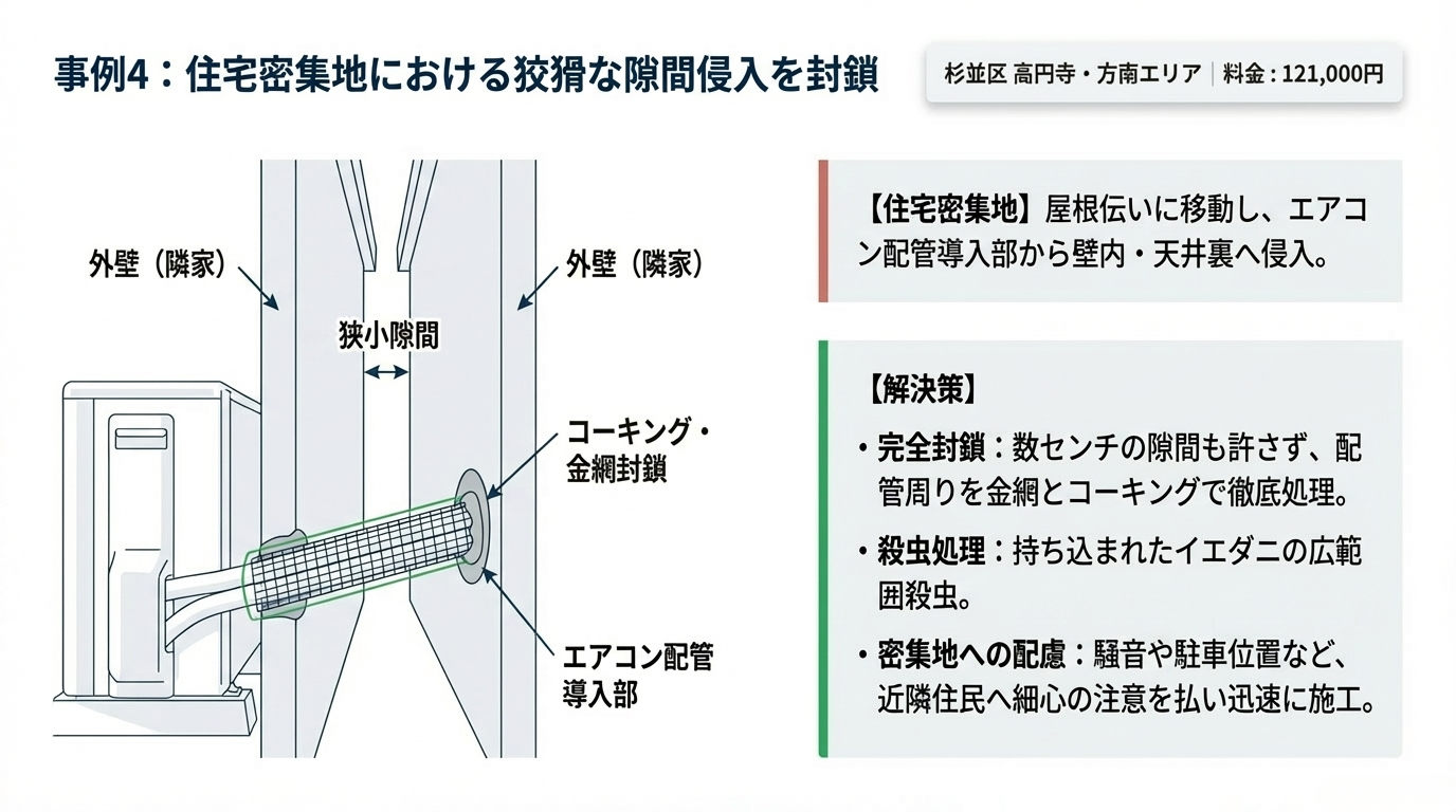 杉並区ハクビシン駆除