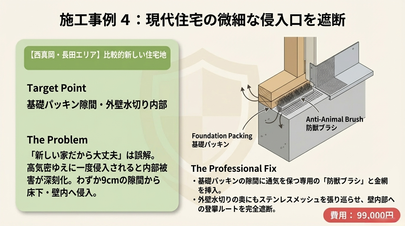 ハクビシン駆除　真岡市