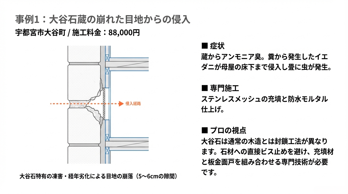 ハクビシン駆除　宇都宮市
